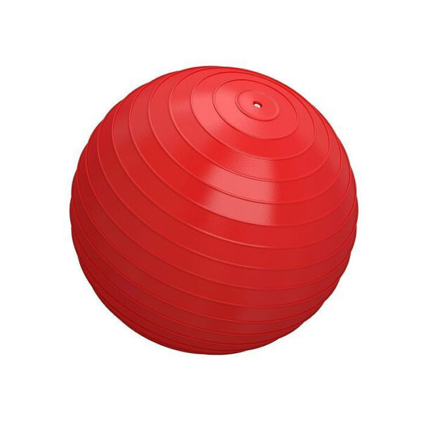 Yoga Ball Therapy