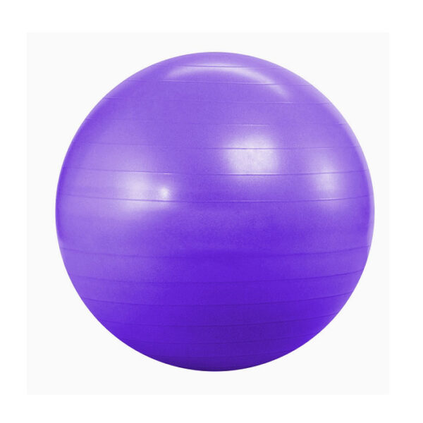 Yoga Ball Therapy
